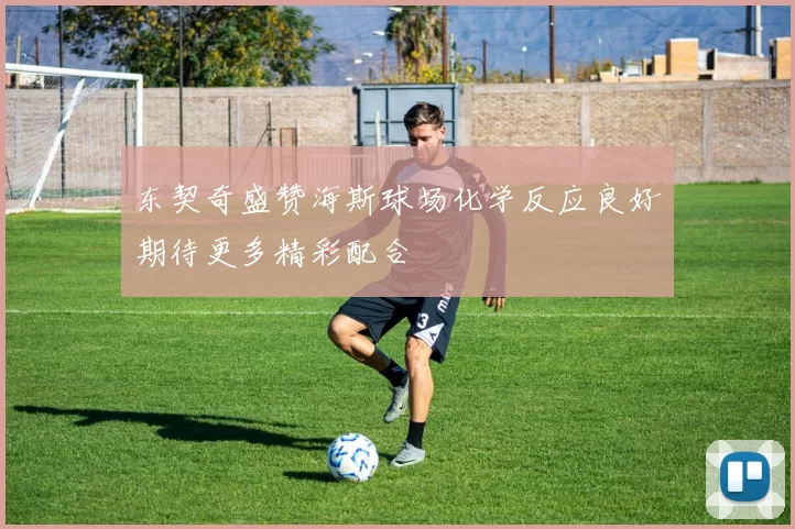 东契奇盛赞海斯球场化学反应良好期待更多精彩配合
